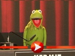 Kermit der Frosch (Foto: HauptBruch GbR)
