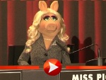 Miss Piggy (Foto: HauptBruch GbR)
