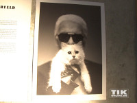Karl Lagerfeld mit seiner Katze Choupette
