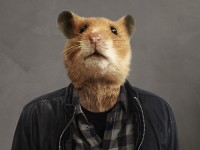 Star-Hamster Hank aus dem eBay-Film