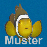 AquaDom SEA LIFE Berlin (Foto: Promo)