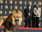 Sylvester Stallone: Feiert mit dem MGM-Löwen Jubiläum