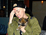 Miley Cyrus: Bastelt Hunde-Schmuck