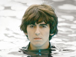 George Harrison: Gedenkbaum von Borkenkäfern zerstört