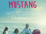 „Mustang“  – Das Gewinnspiel zum Kino-Start