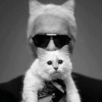 Karl Lagerfeld: Choupette wurde gehackt!