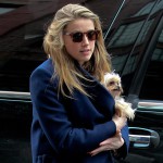 Amber Heard fühlte sich nach ihrem Coming-out gebrandmarkt