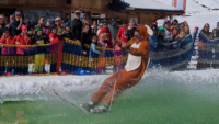Waterslide 2026 – Das Ski-Hase im Eispool