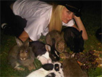 Paris Hilton: Hat ein Herz für Tiere