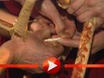 Gerlinde Jänicke und die schmerzhafte Begegnung mit einer Riesenkrabbe