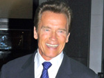 Arnold Schwarzenegger: Fortsetzung zu „Twins“?