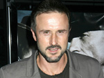 David Arquette: Liebt die Liebe