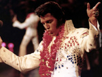 Elvis Presley: Total verstopft