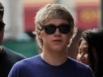 Niall Horan: One Direction-Sänger ist wieder Single