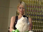 Hilfe!: Paris Hilton zottelt an Knut!