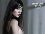 Porno-Star Sasha Grey: Hat was gegen zu viel Sex
