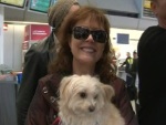 Susan Sarandon: Zaubert ihren Hund aus der Tasche!