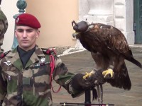 Zum Nationalfeiertag von Monaco 2013 präsentiert ein Soldat einen Adler